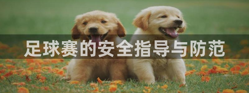 凯发官方正版app集团官网首页:足球赛的安全指导与防范